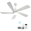 (Same as W882P146361)52 Inch Modern Ceiling Fan With Dimmable LED Light 5 Solid Wood Blades Remote Control Reversible DC Motor With Smart Control