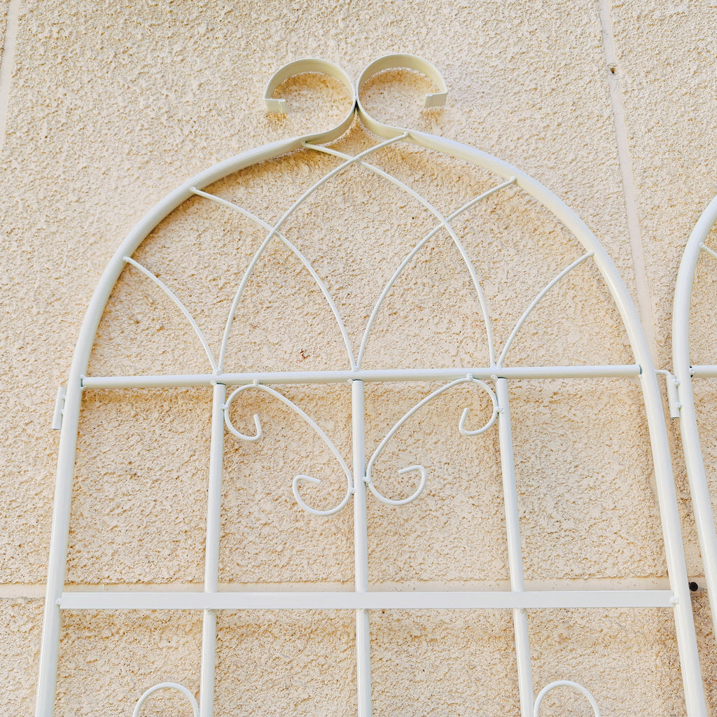 24955482