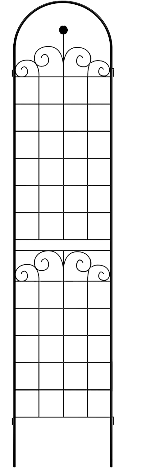 24955129