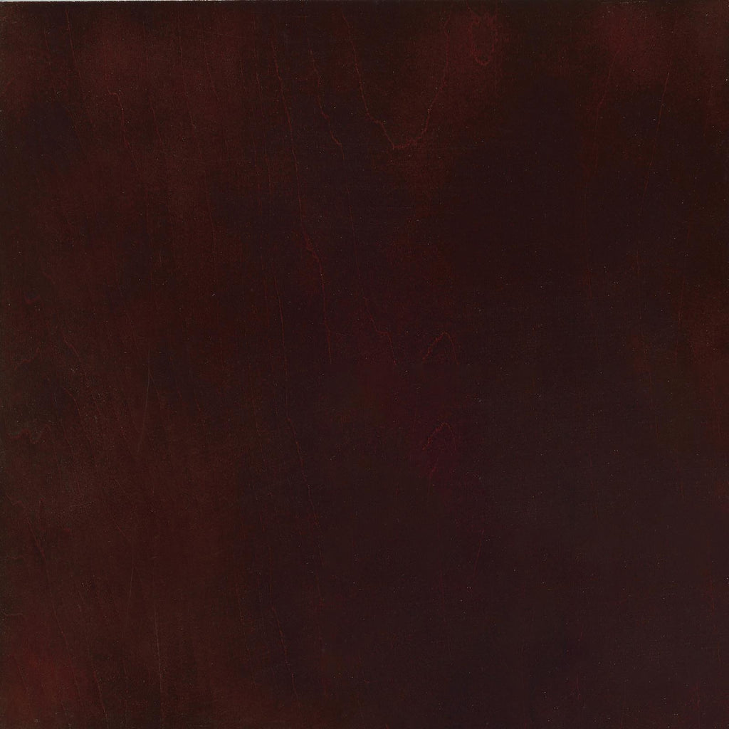 25013419