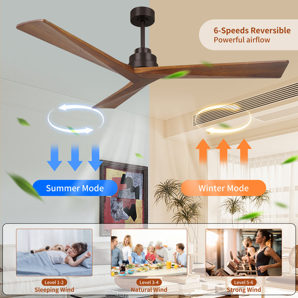 24960939
