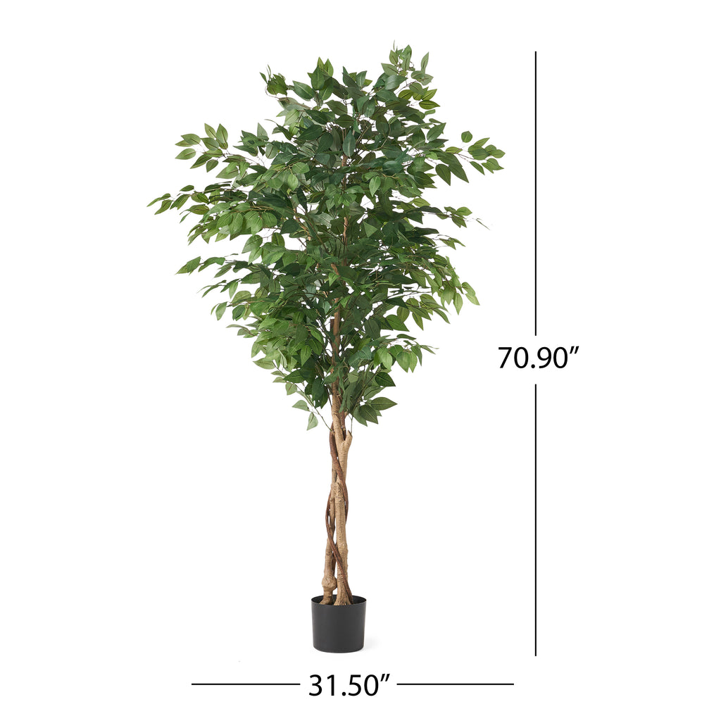 24945669