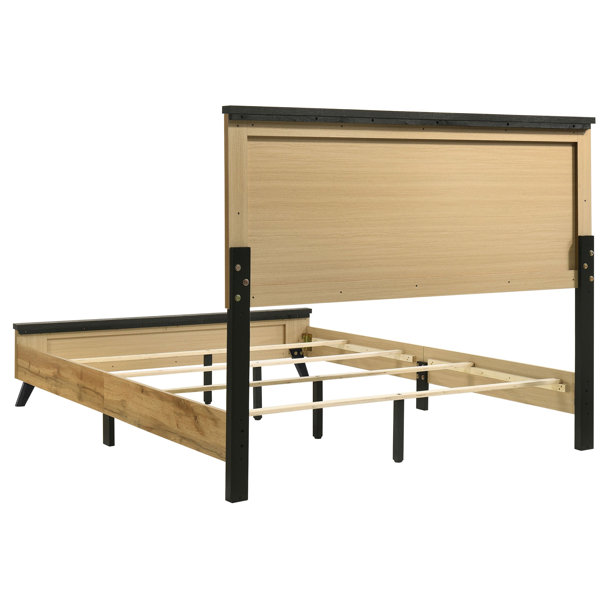 25020117